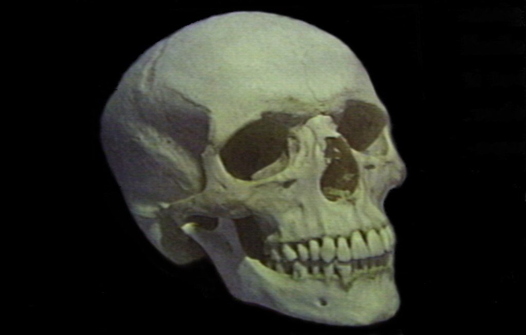 SKULL2.jpg