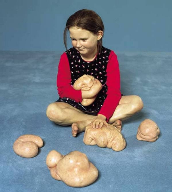 the_most_controversial_art_sculptures_by_patricia_piccinini18.jpg