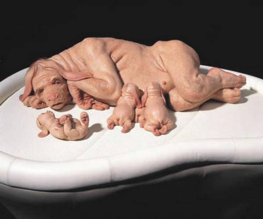 the_most_controversial_art_sculptures_by_patricia_piccinini25.jpg