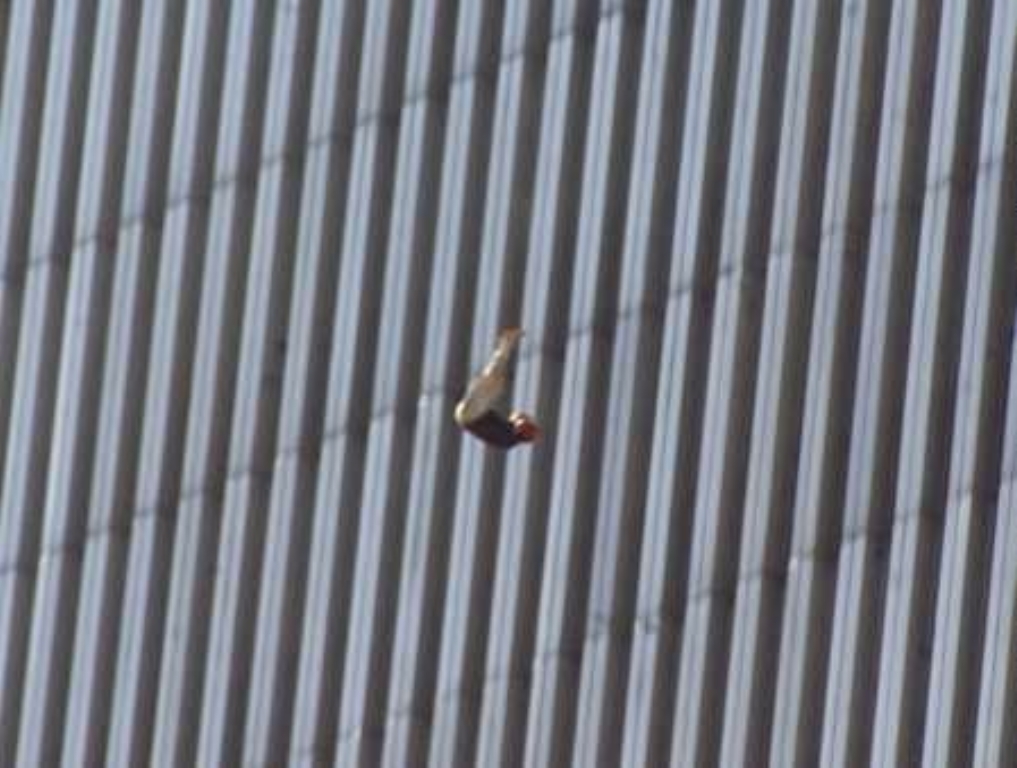 wtc-various13.jpg