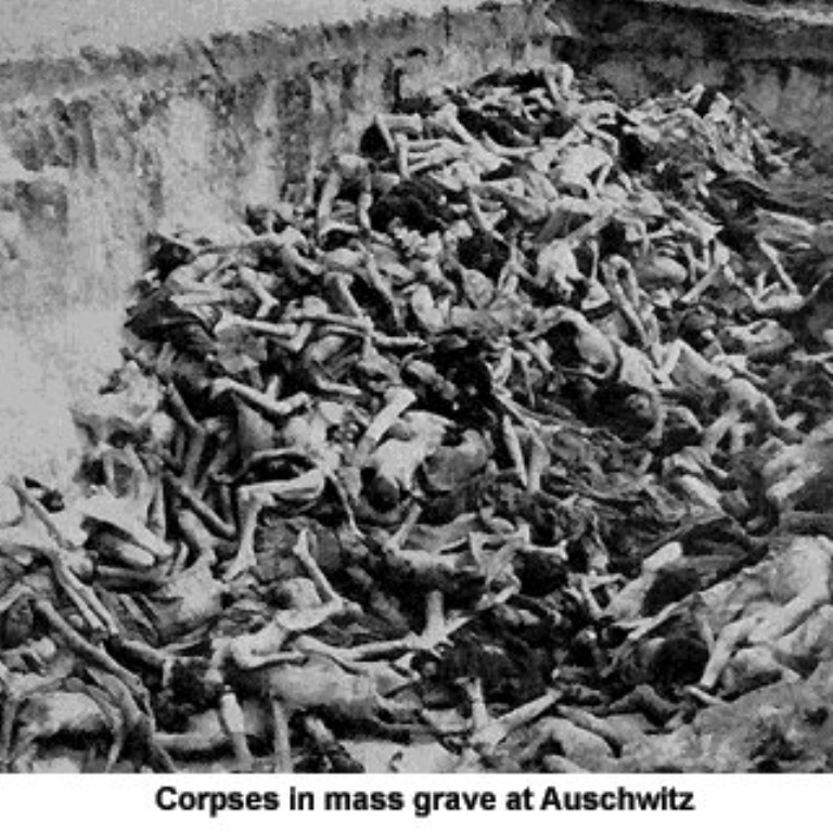 auschwitz-corpses.jpg