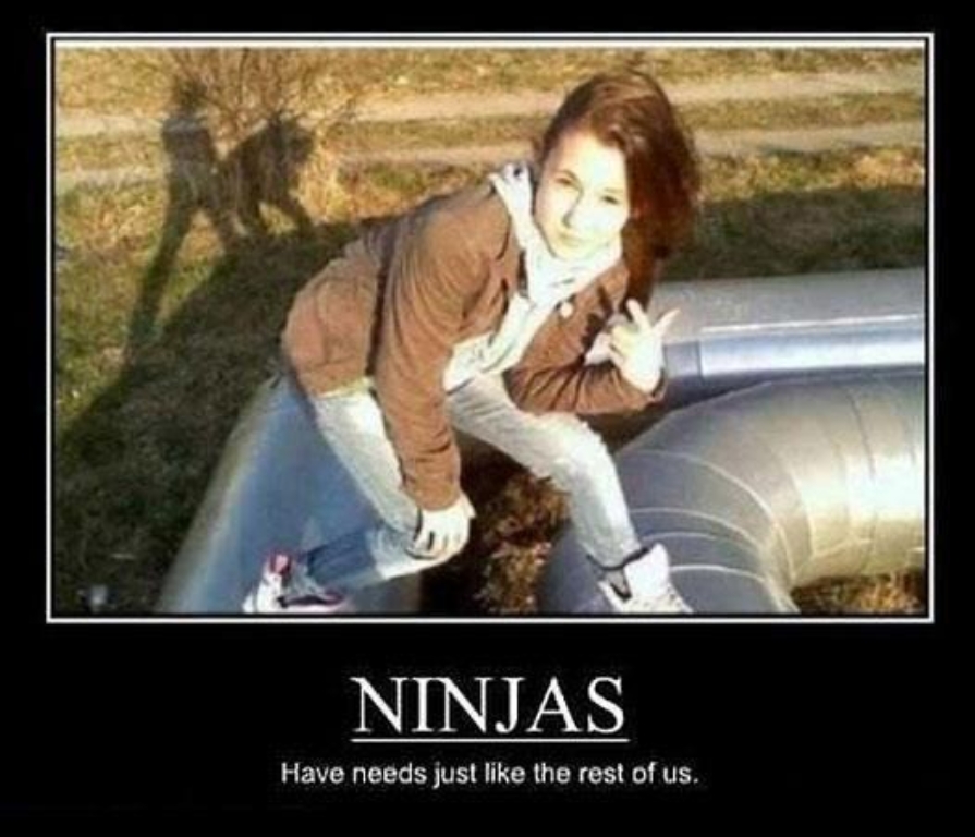 ninjas.jpg