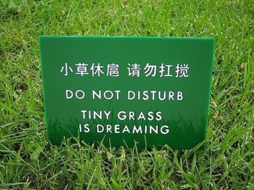 Funny-Chinese-Mistranslation-11.jpg