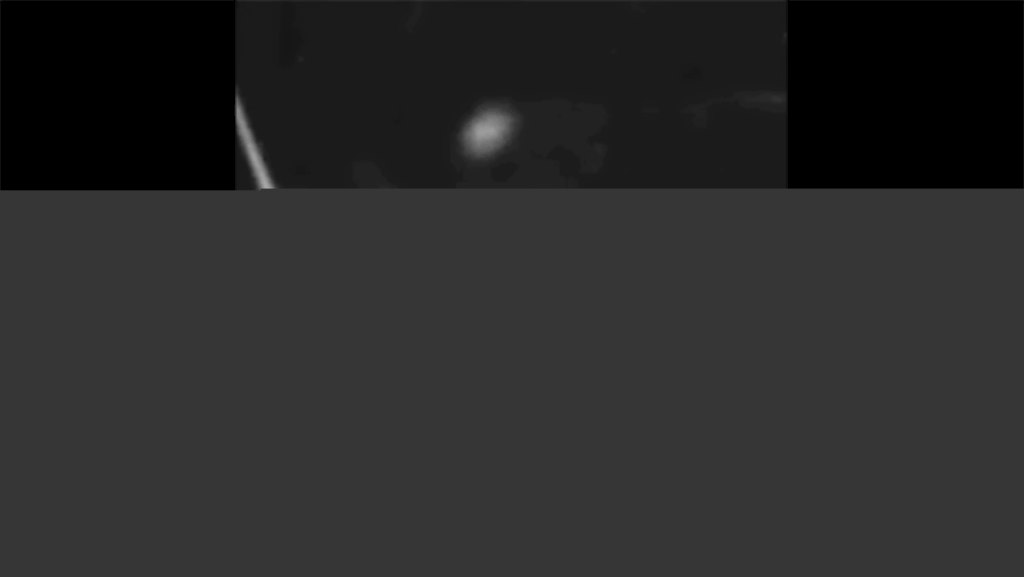 monkeyshines-first-oldest-film.gif