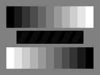 gray4_rgb_800x600.jpg