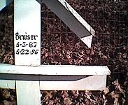 bruiser2.jpg