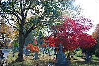 2015 10 Sleepy Hollow Cemetery