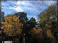 2016 11 Autumn Central Park