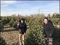 2019 12 Christmas cutting down tree out east