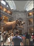 2016 05 DC Smithsonian Natural History