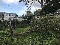 2020 08 mom yard after hurricane