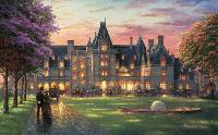 Elegant-Evening-at-Biltmore.jpg