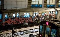 graffititrain-7591.jpg