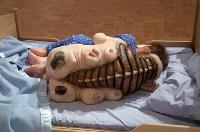 the_most_controversial_art_sculptures_by_patricia_piccinini09.jpg