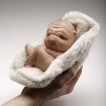 the_most_controversial_art_sculptures_by_patricia_piccinini10.jpg