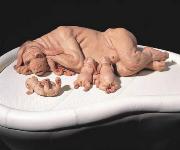 the_most_controversial_art_sculptures_by_patricia_piccinini25.jpg