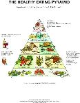 HealthyEatingPyramid-LowRes.jpg