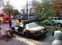 hurricane%20sandy23.jpg