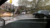 hurricane%20sandy34.jpg