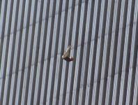 wtc-person-jumping-photo4-640w-orig.jpg