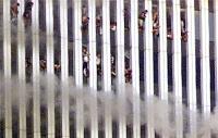 wtc-various18.jpg