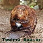 Techno-Beaver.jpg