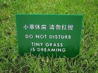 Funny-Chinese-Mistranslation-11.jpg
