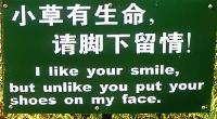 Funny-Chinese-Mistranslation-37.jpg