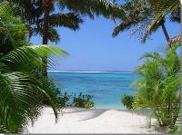 View-From-Tropical-Beach-ds.jpg