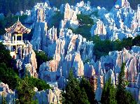 china_csg010_stone_forest_of_lunan-yunnan.jpg