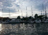 20140803_185706.jpg