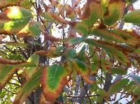 20141005_103919.jpg