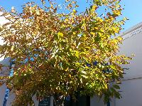 20141005_103934.jpg