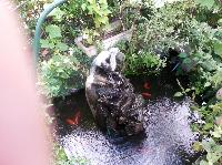 20130929_105734.jpg